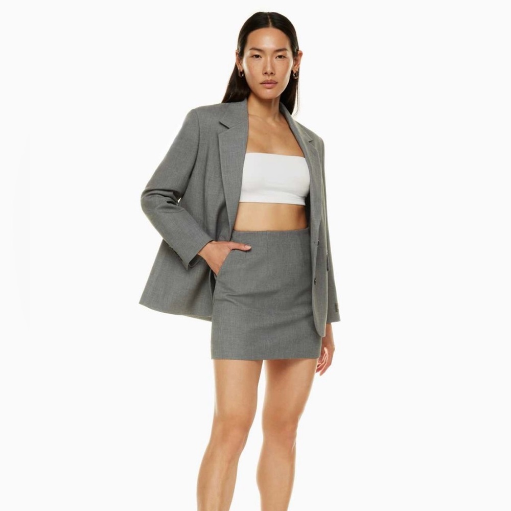 Aritzia Skirt